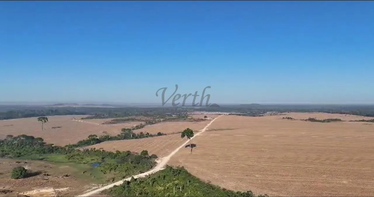 Fazenda à Venda 1700 hecteres em Novo progresso - PA