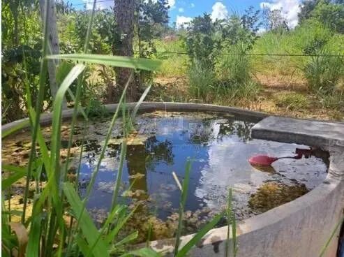 Negociando  - Foto 11