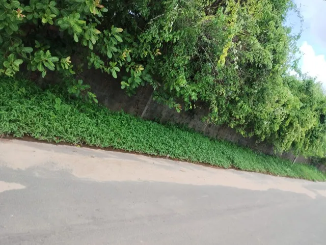 TERRENO NO RESIDENCIAL PIRAMIDE 10X54 M