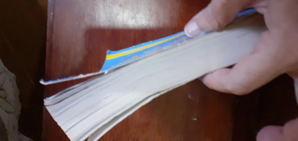 livro das fases do bebê  - Foto 2