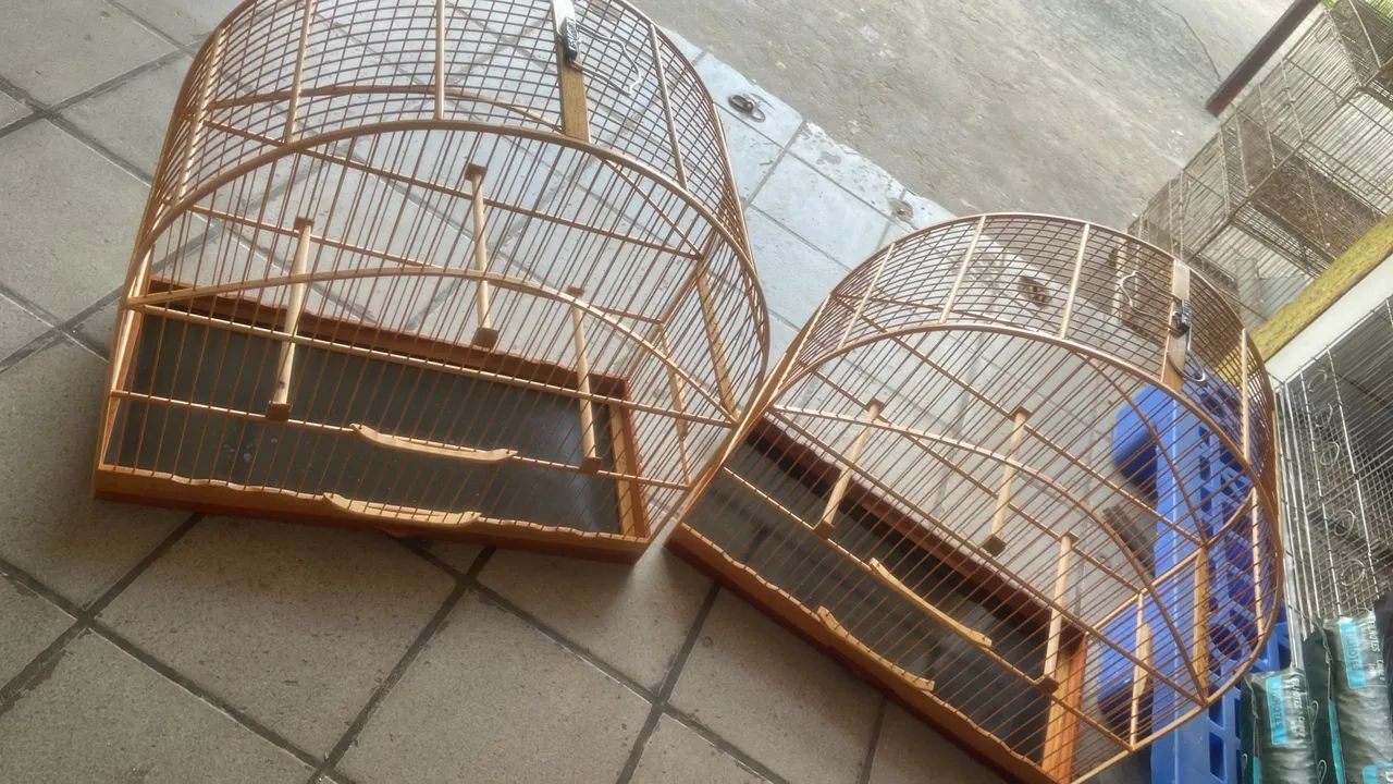 Gaiolas arqueadas n6 - Foto 2