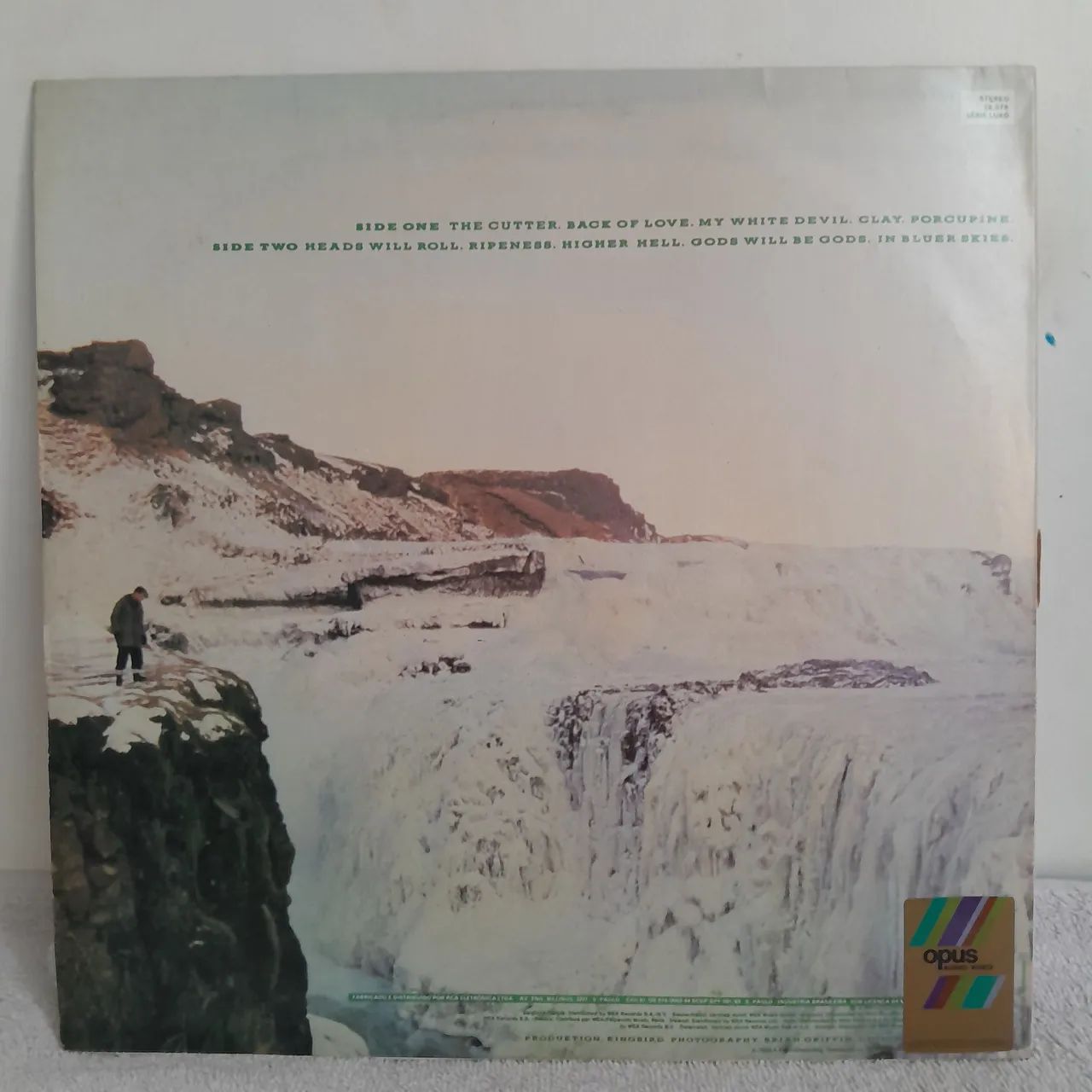 Vinil lp Echo & The Bunnymen - Porcupine LP - Foto 2