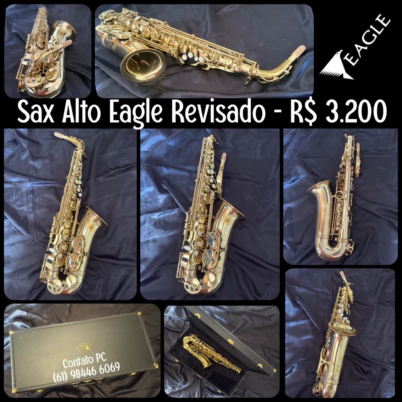 Sax Alto Eagle REVISADO
