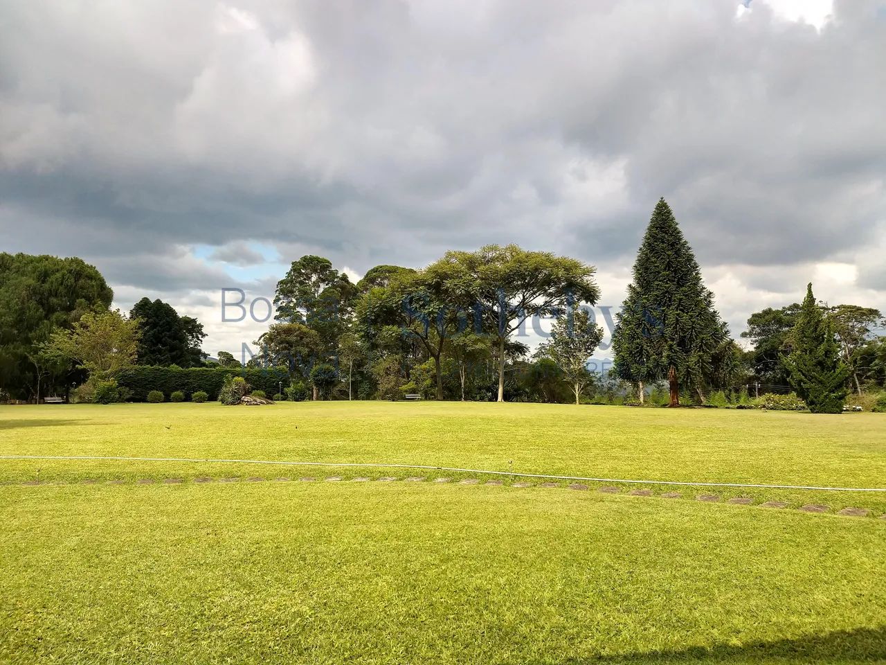 Casa linear com amplo gramado - Foto 5