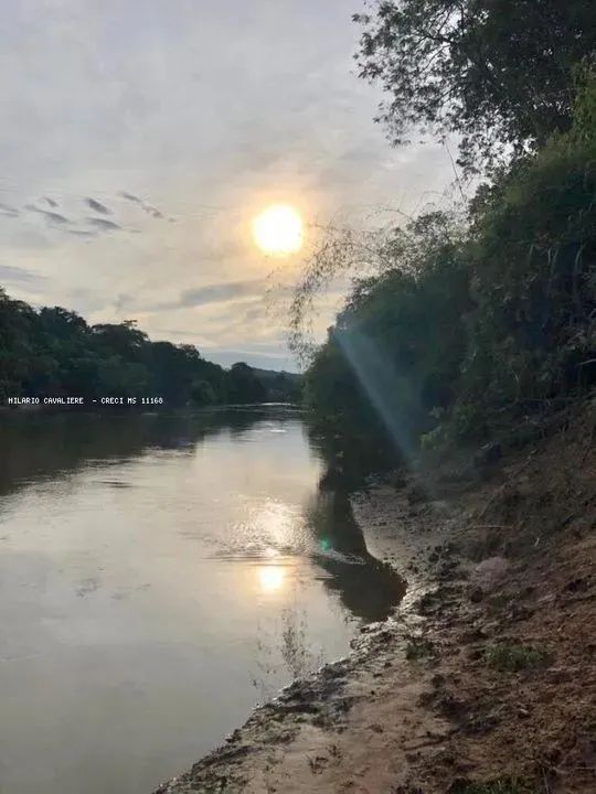 Pesqueiro para Venda em Aquidauana, Camisão - Foto 3