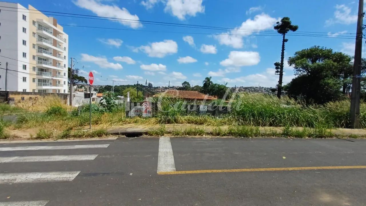 Terreno à venda,462.00 m , Bairro Orfãs, PONTA GROSSA - PR - Foto 5