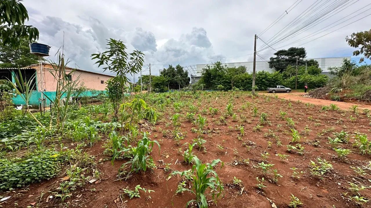 lote 377 metros  R$ 55 mil -  Setor Garavelo Sul - Hidrolândia - GO - Foto 4