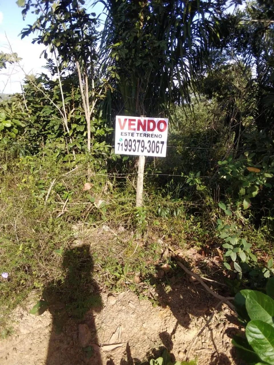 Terreno em Recanto das Acácias 
