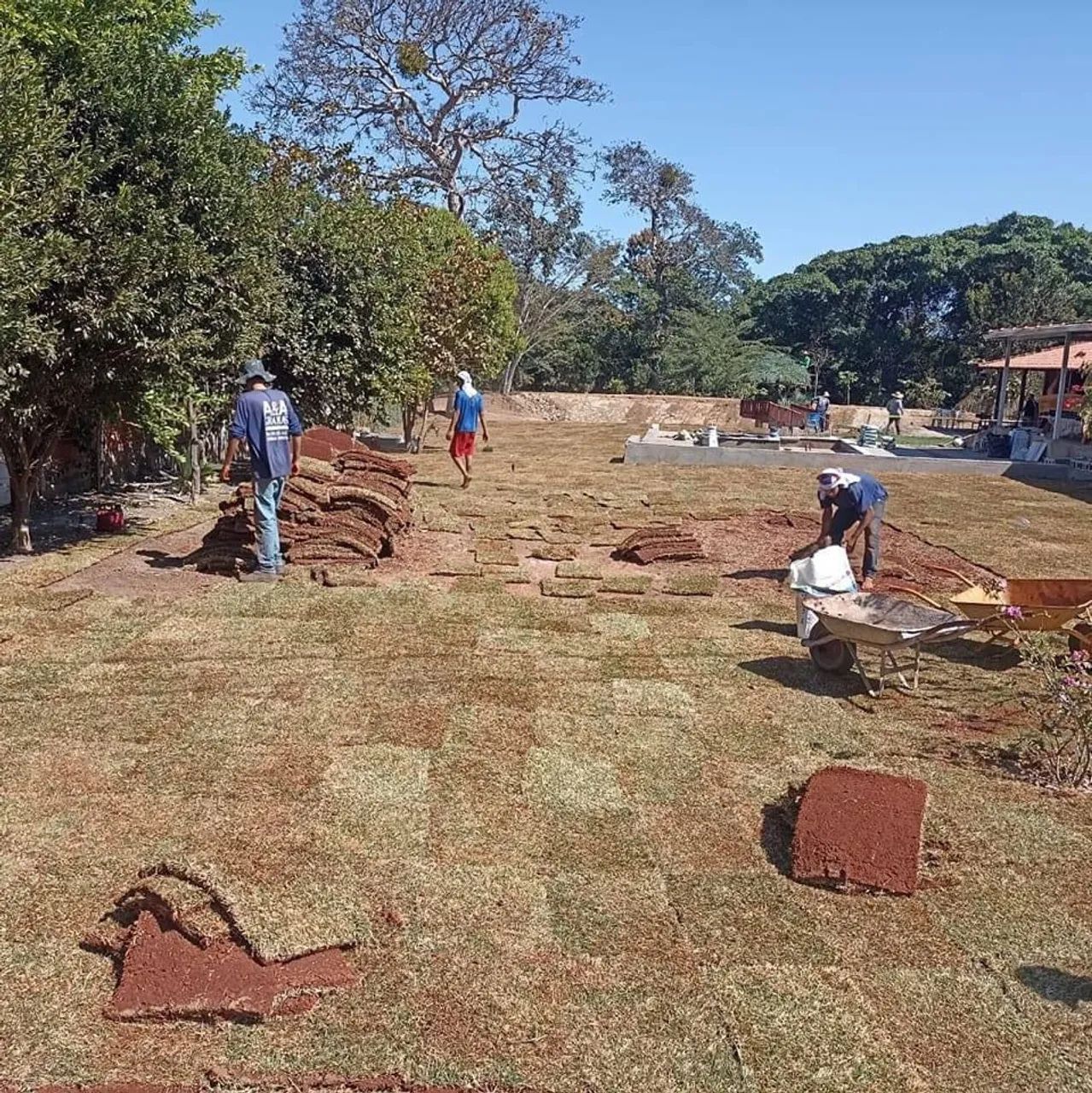 Gramas Já Plantadas - Foto 3