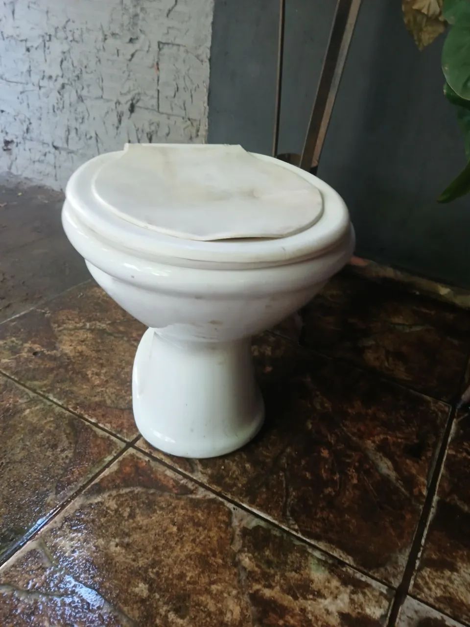 Vaso sanitário fiori