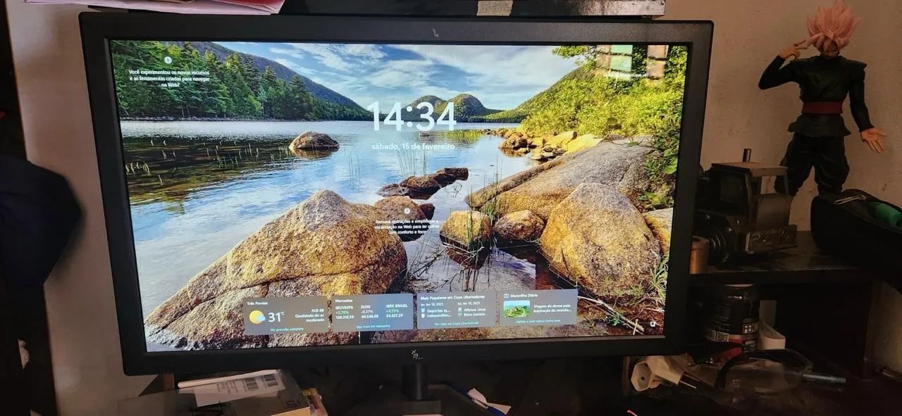 PC gamer 