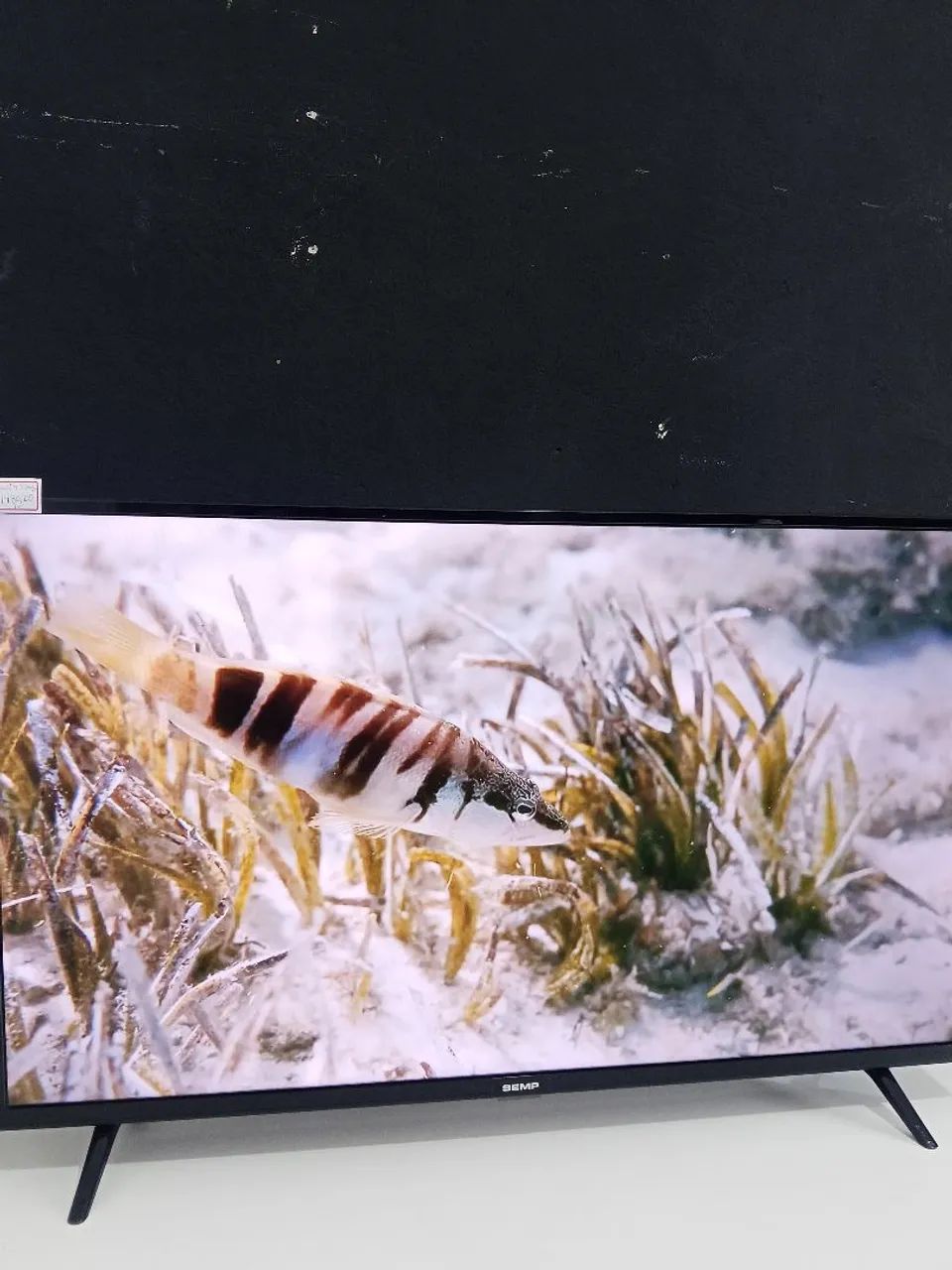 Smart Tv Semp 43 polegadas Sistema Android comando de voz integrado  - Foto 4