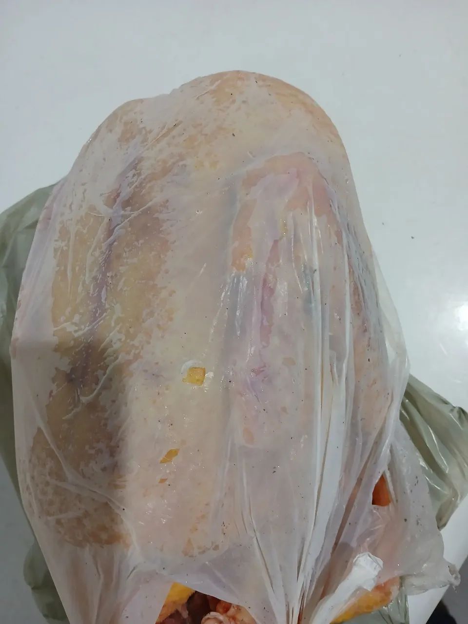 PATO - Foto 4