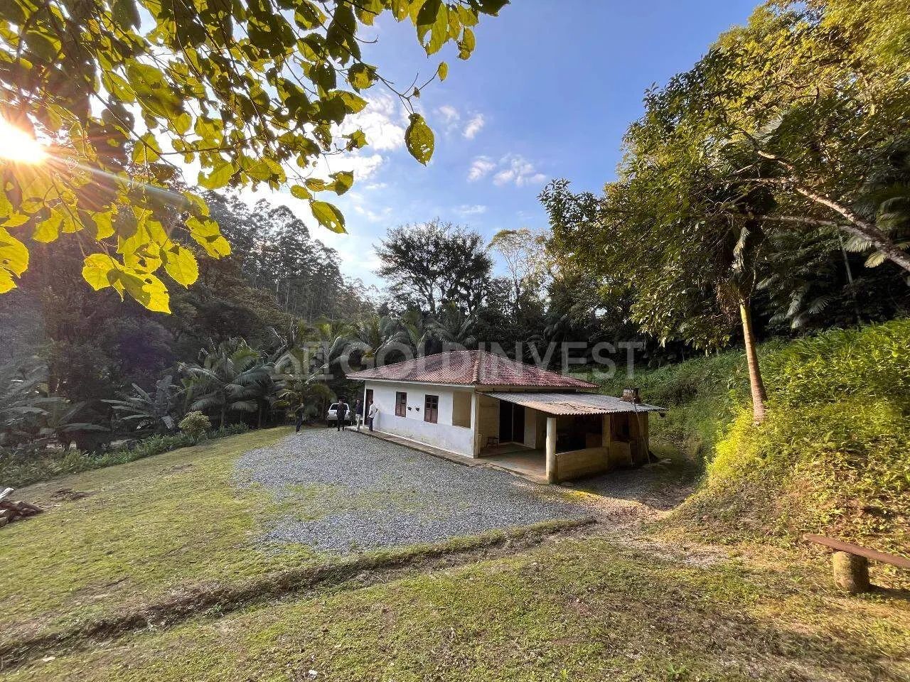 Sítio com 740.000m² no interior da cidade de Nova Trento!!! - Foto 5
