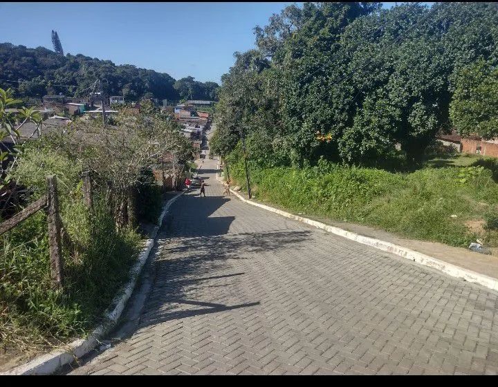 Terreno  - Foto 5
