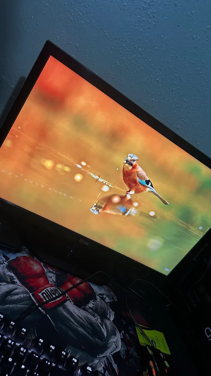 Tv/monitor LG 24 polegadas 60Hz