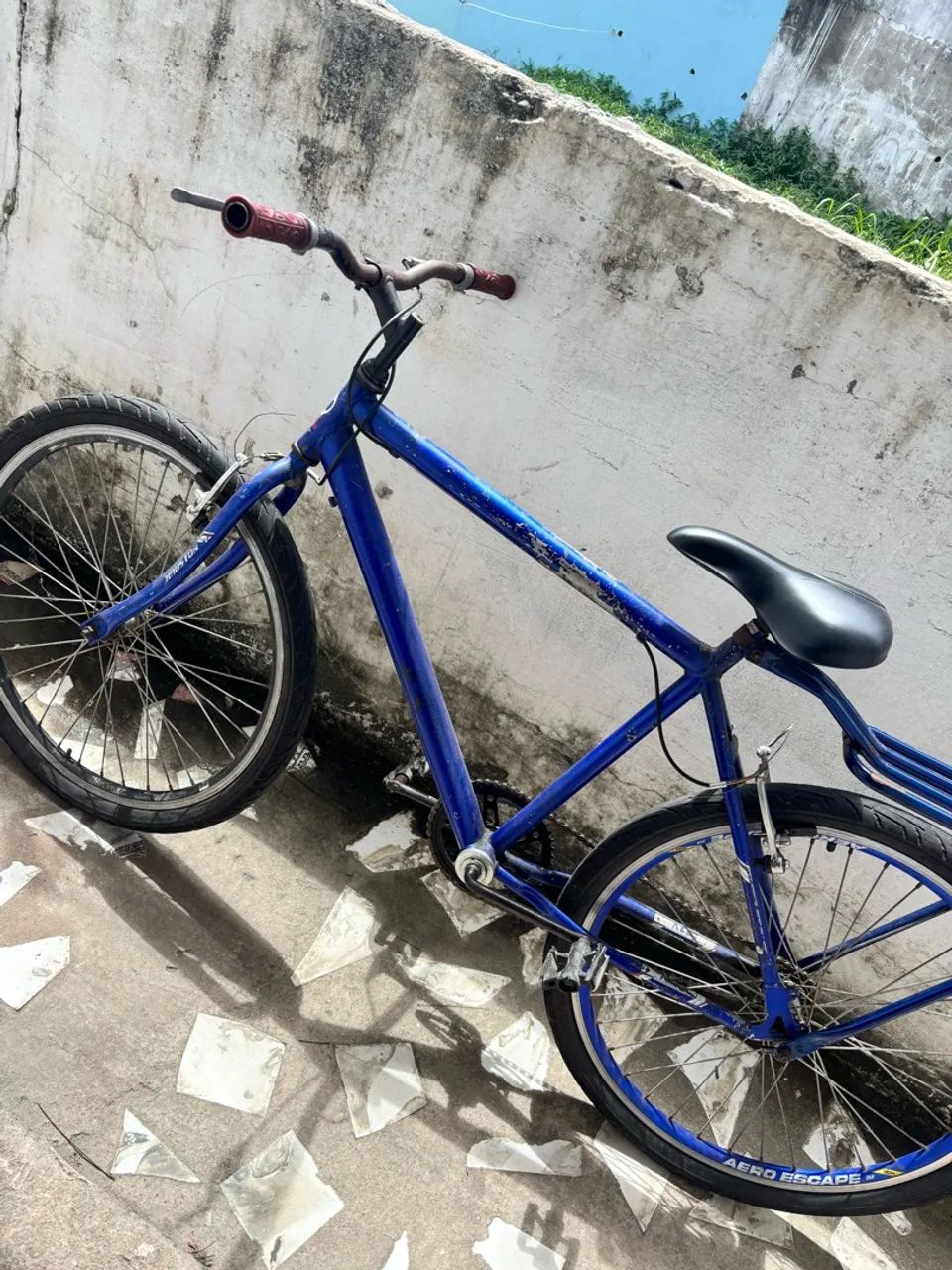 bicicleta 