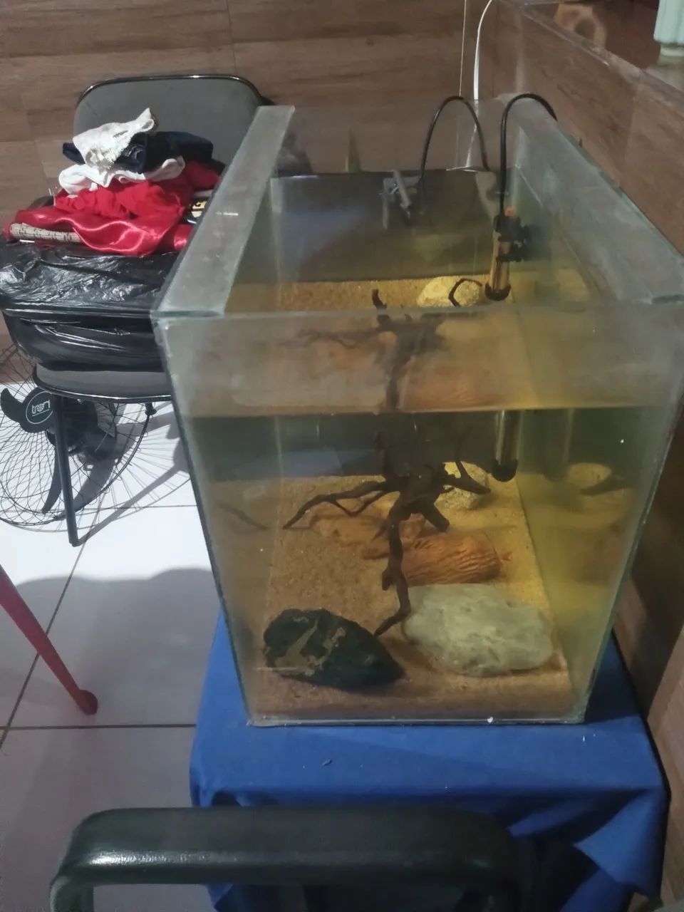 Aquário  - Foto 4