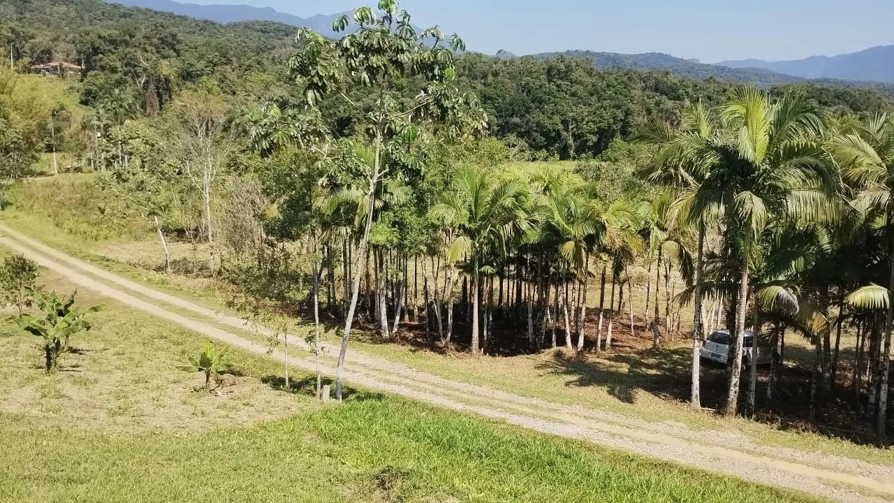 Terreno para Chácara em Morretes/PR - Foto 2
