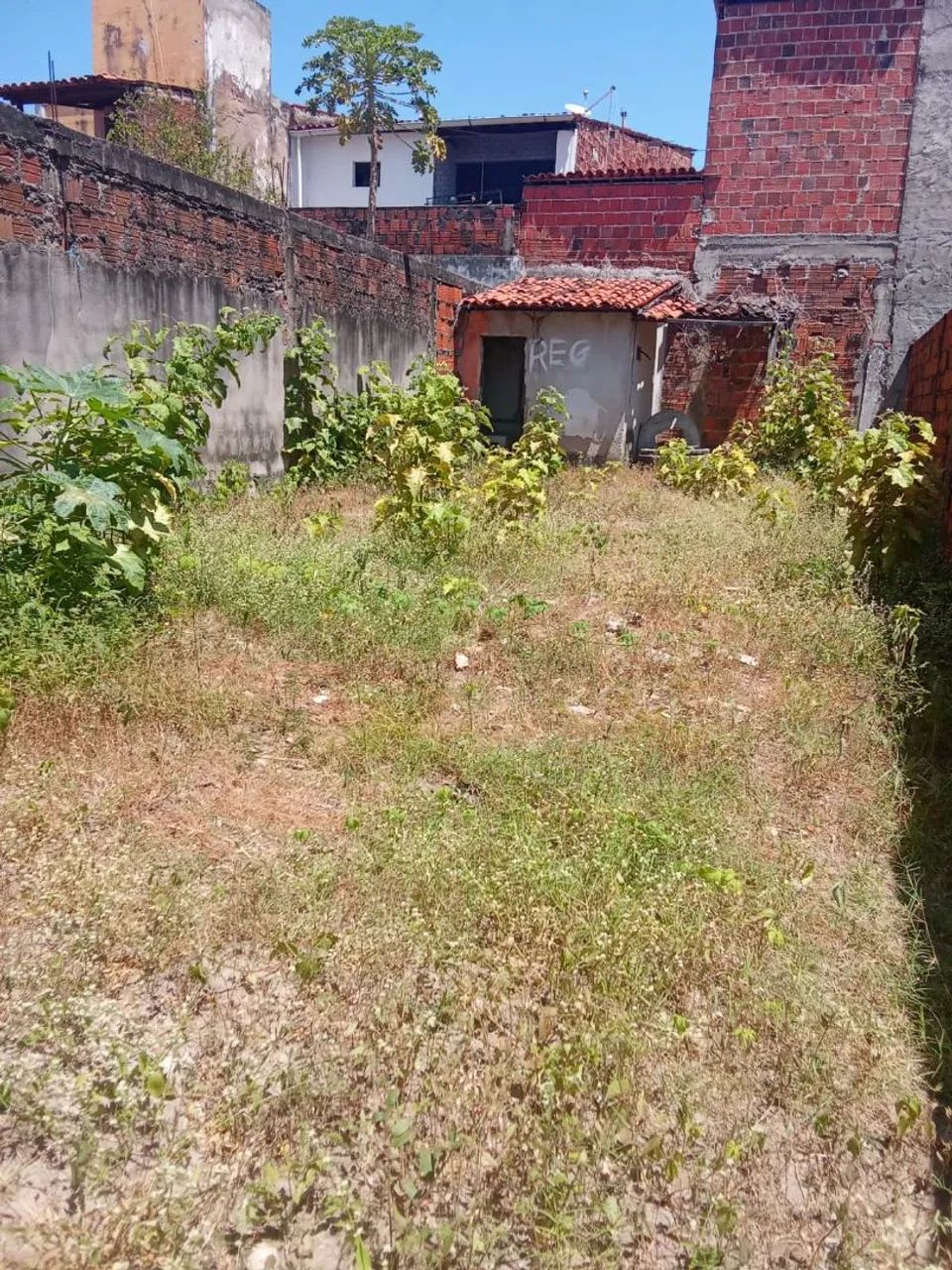 Terreno com ponto comercial  - Foto 5