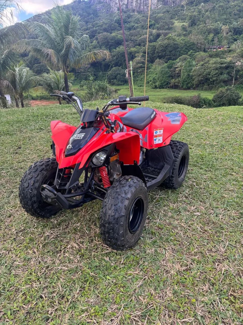 Quadriciclo Can-Am DS 90 