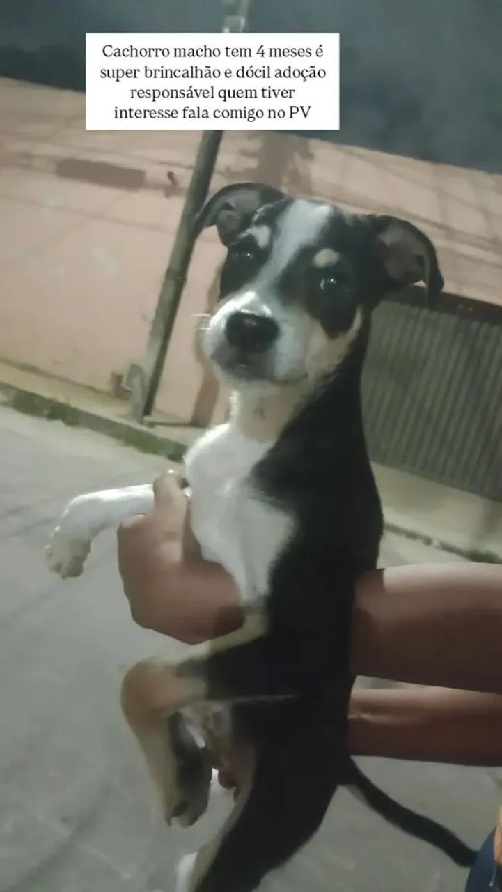 Doação