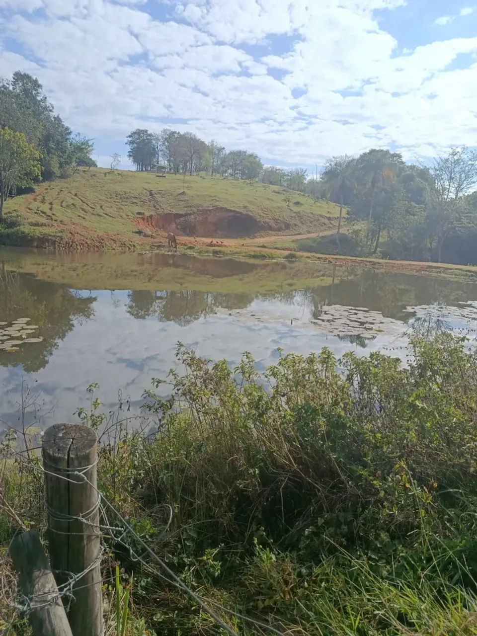 Terra fortes - Foto 5