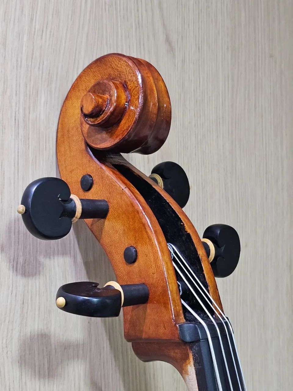 Violoncelo  - Foto 4