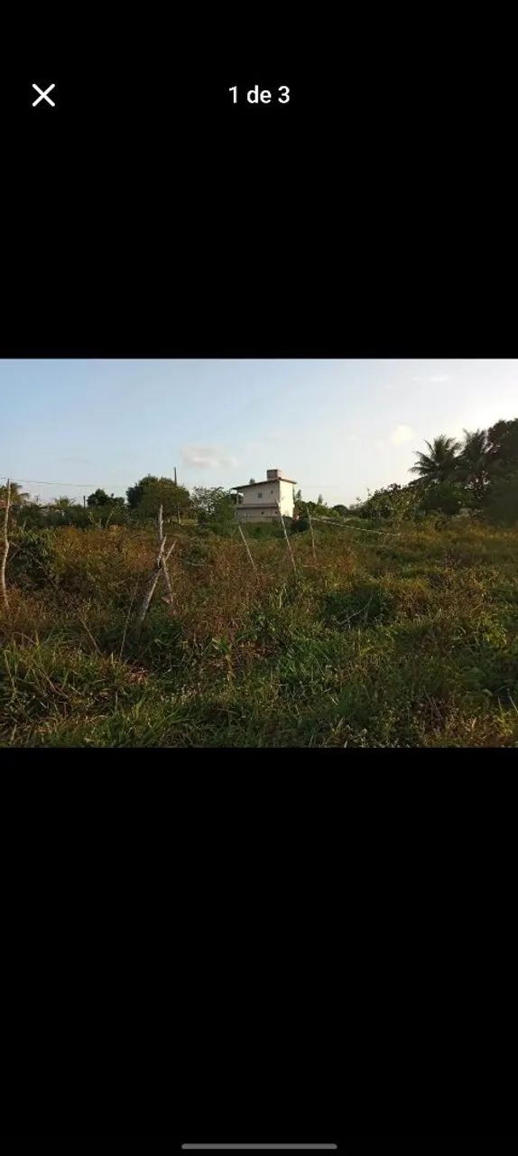 Foto - João Pessoa - Cidade dos Colibris