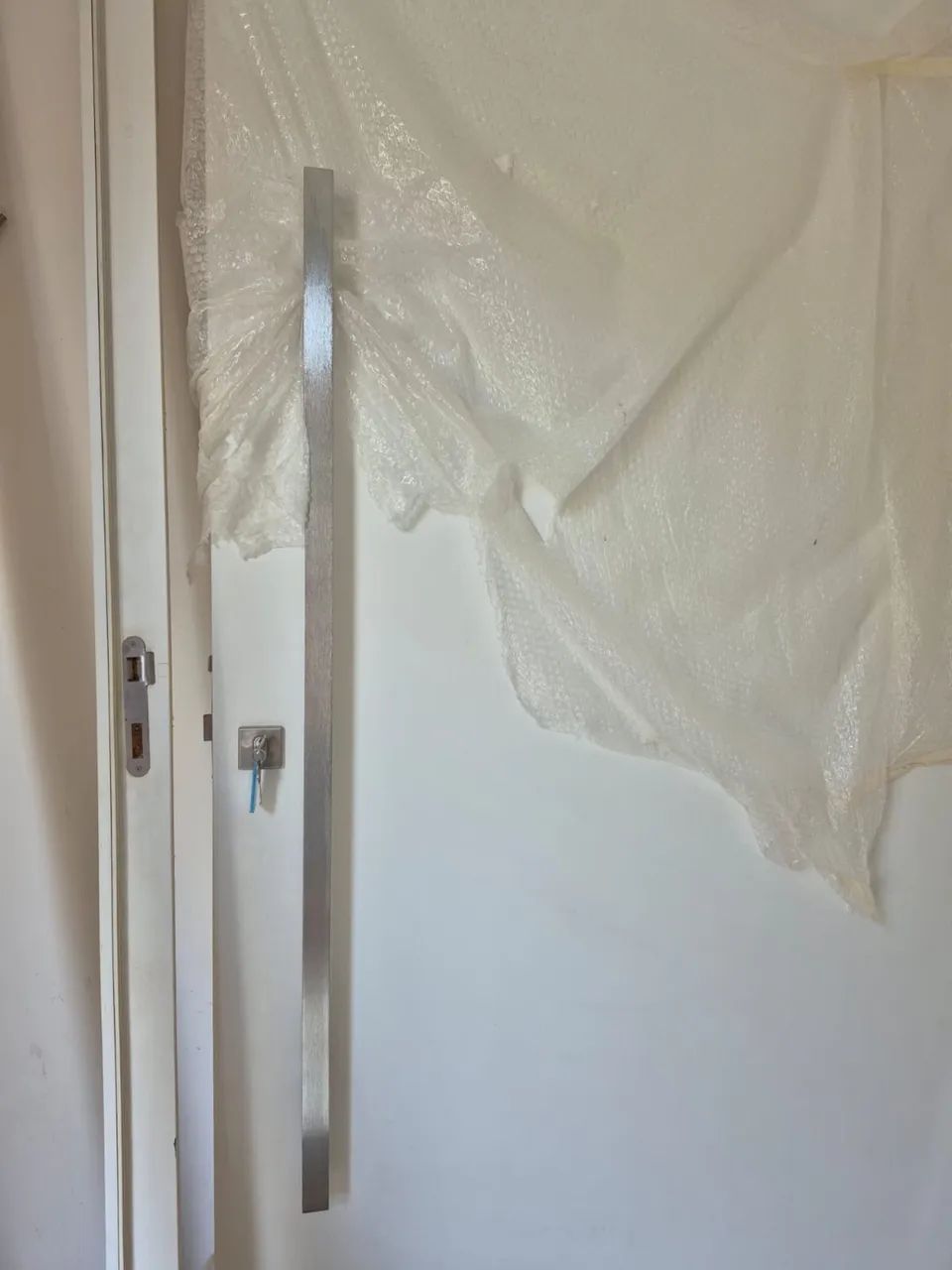 Full Pivot Door (READ THE LISTING)444717987917342723