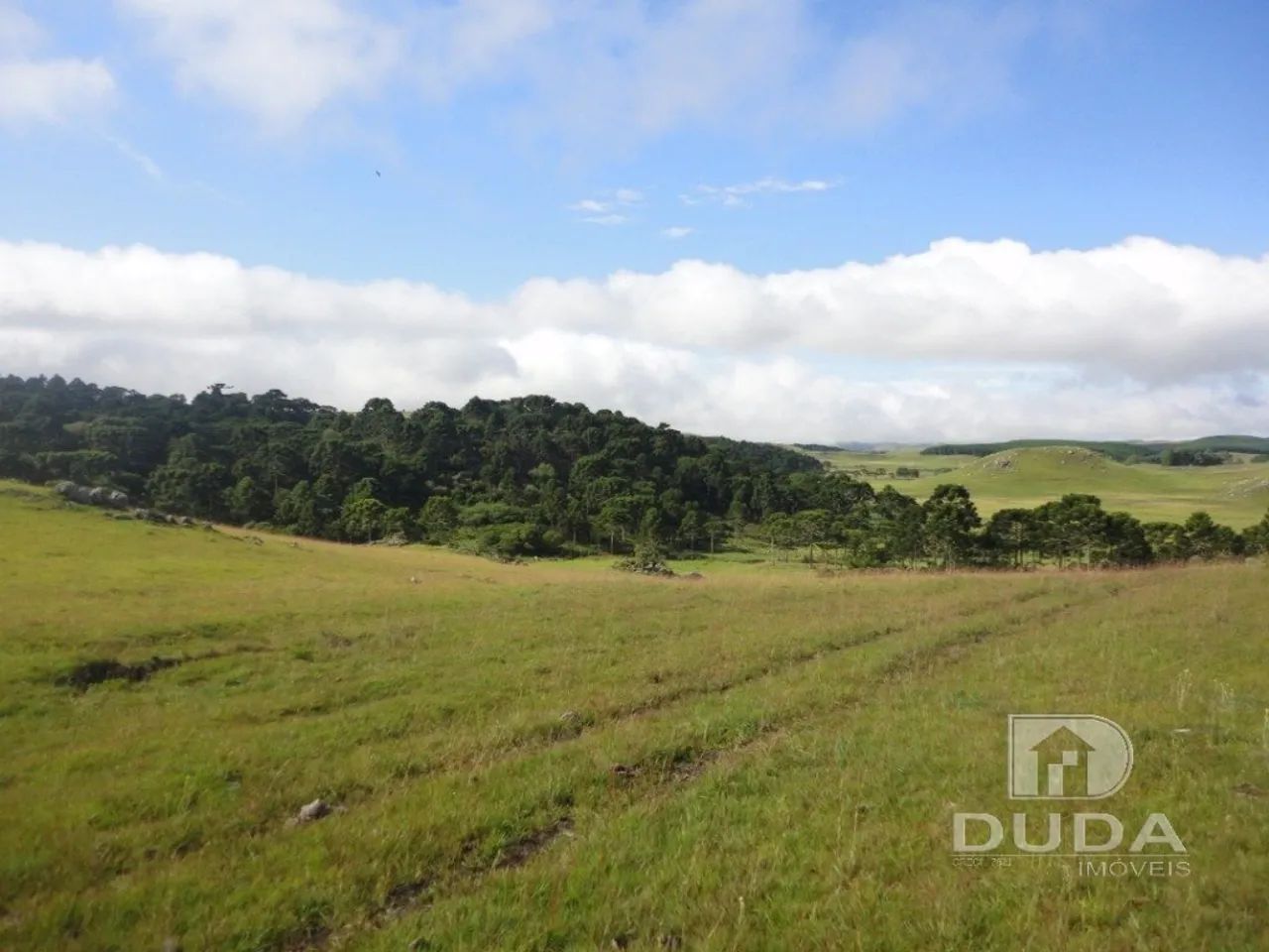 Terreno Rural em Bom Jardim da Serra - Foto 5