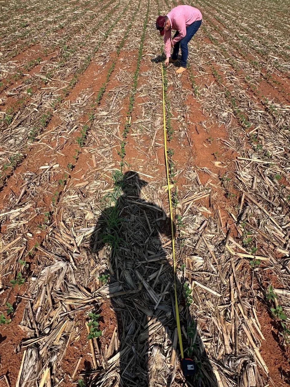 Fazenda  gaúcha Norte Mato Grosso 