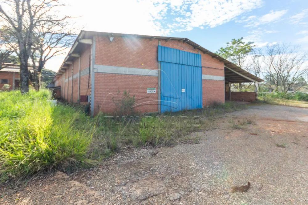 Comercial Barracão em Ponta Grossa - Foto 4