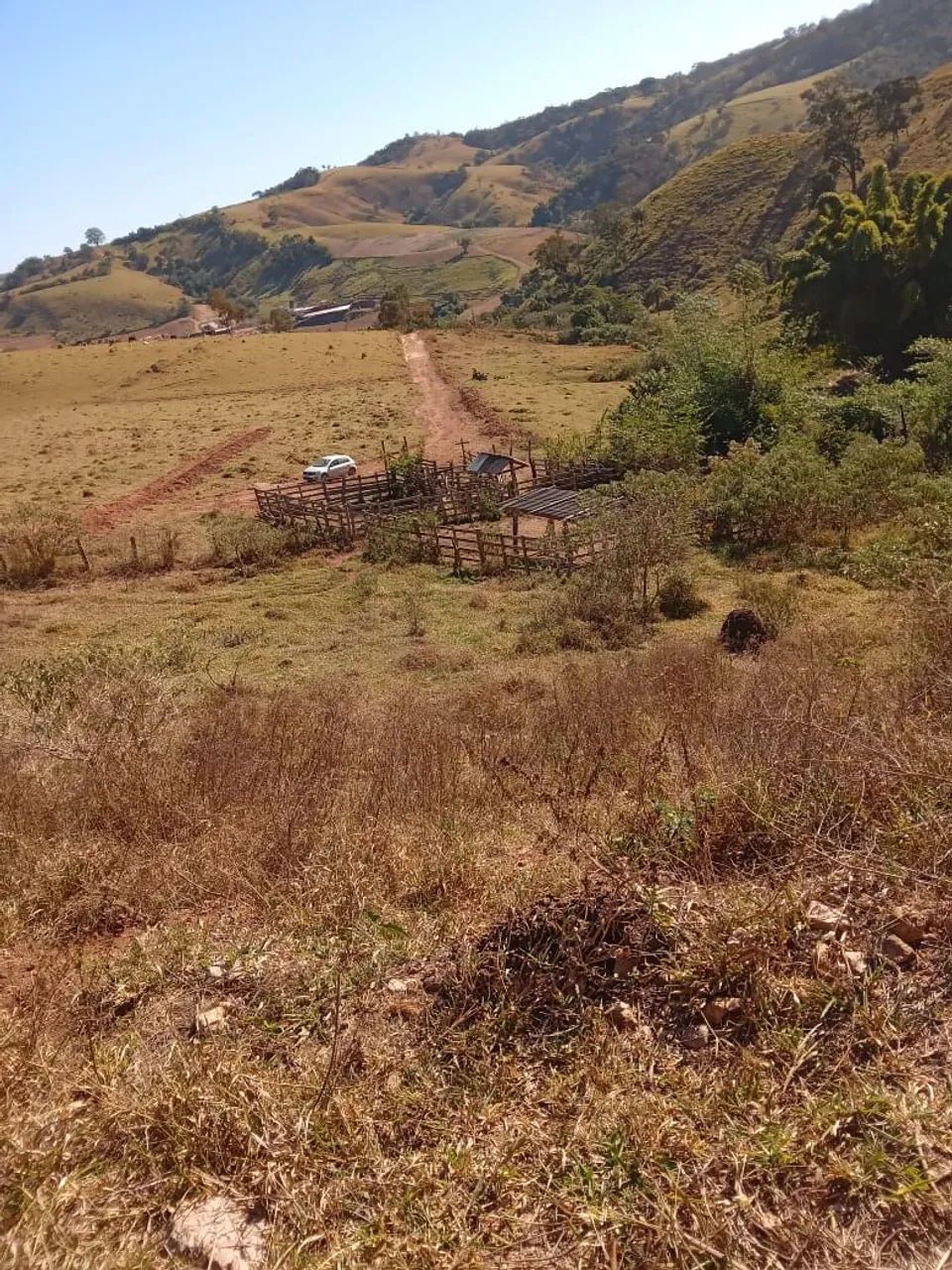 Fazenda de 10 alqueires em Oliveira - MG