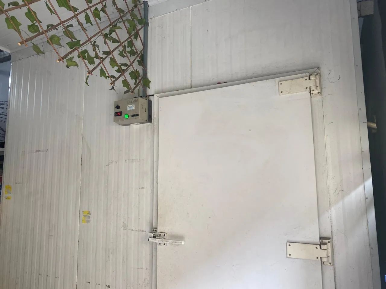 Câmara fria  - Foto 4