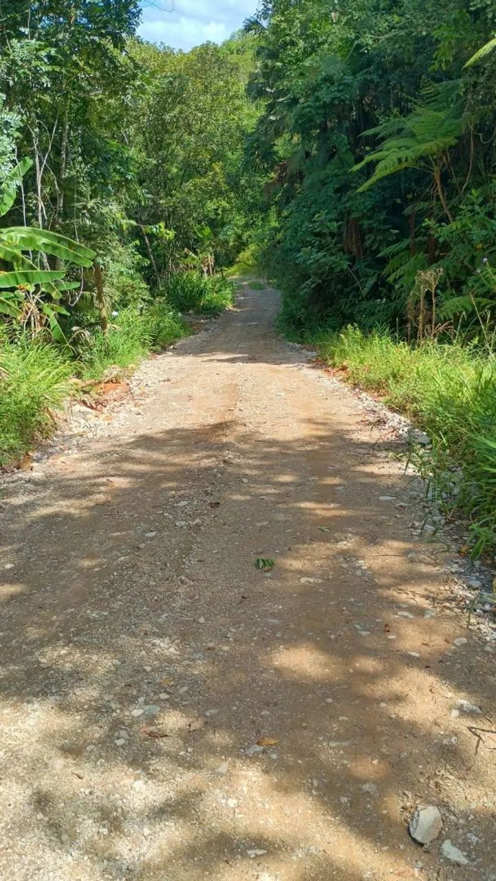 Terreno rural Santo amaro da imperatriz  - Foto 5