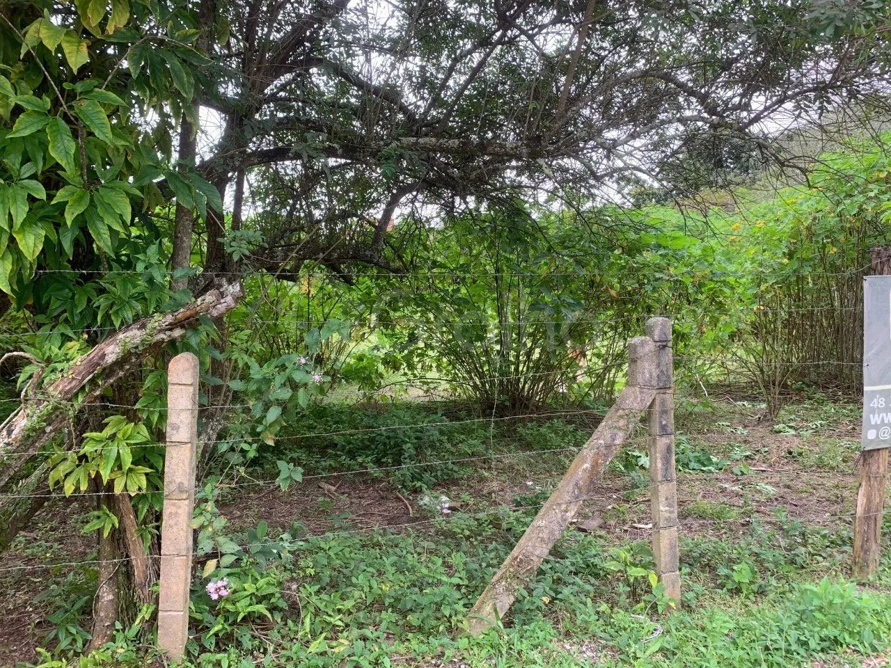 Terreno de 2.000m² no Moçambique - Foto 2