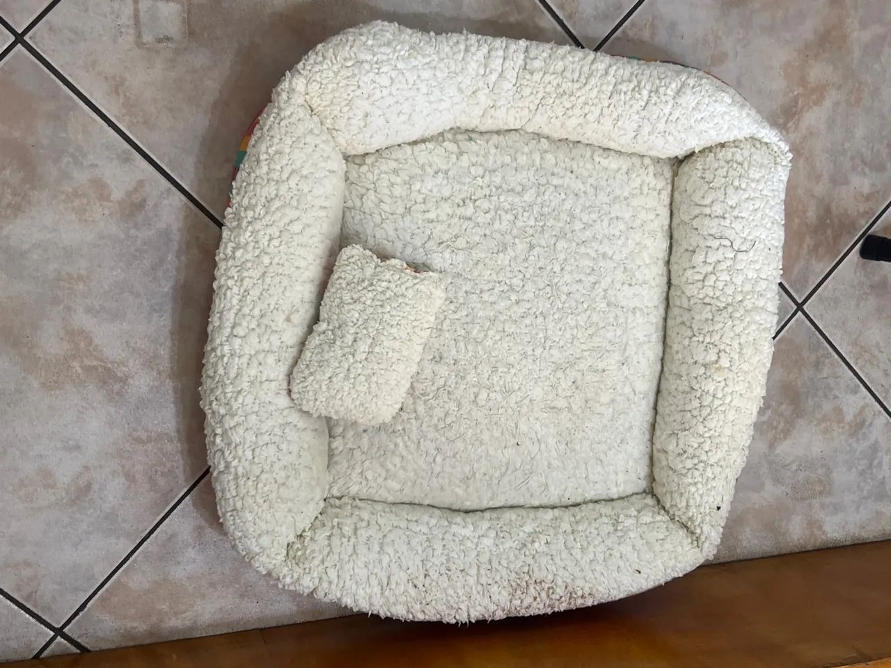 Cama PET - Foto 2