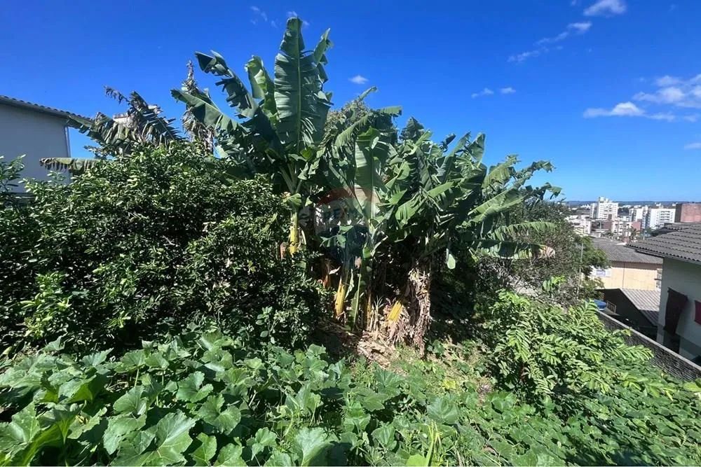 Terreno de 465 m² - Pronto para Construir - Foto 2