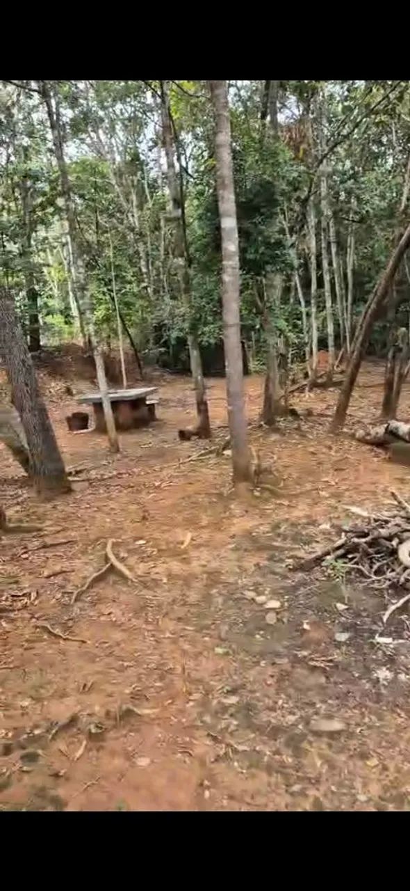 Vendo Rancho as margens do Rio São Francisco - Foto 4