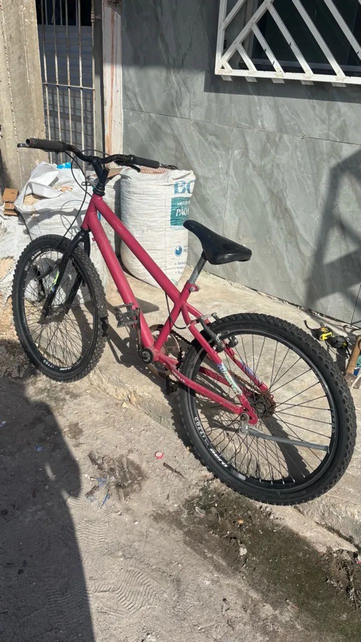 Bicicleta