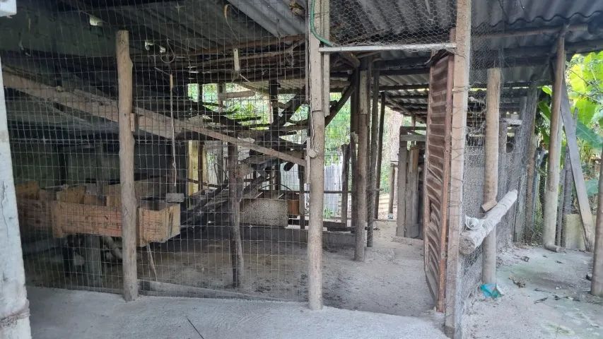 Chacara com varanda e pomar e muita paz - Foto 3