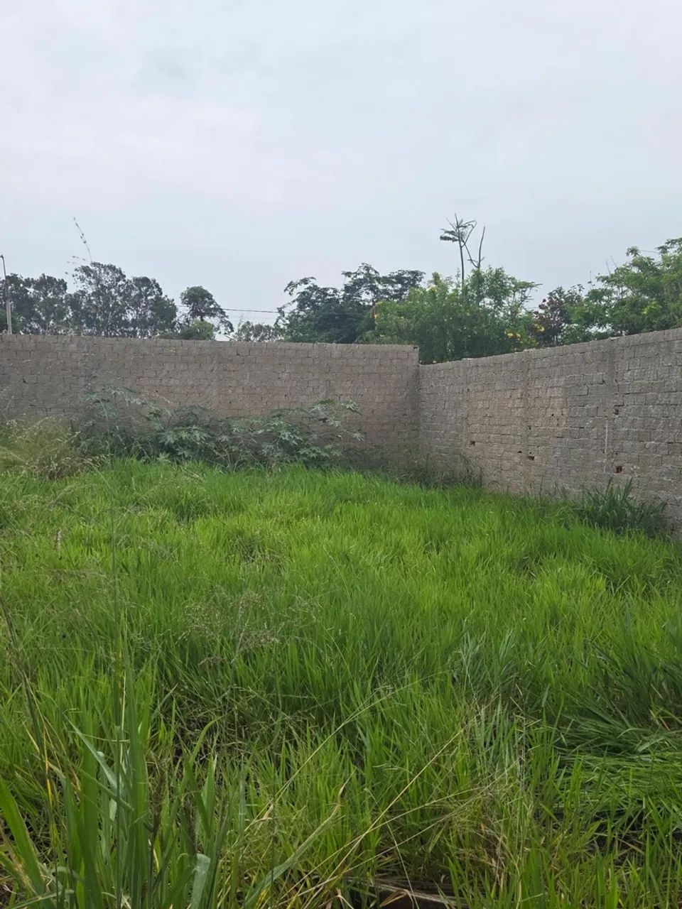Terreno de 250m² - Já Murado! - Foto 4