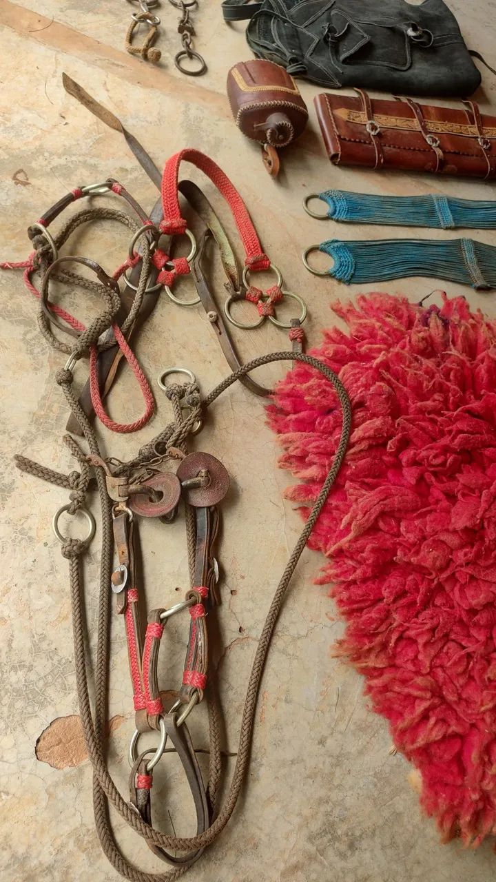 Traia de alpaca  - Foto 4