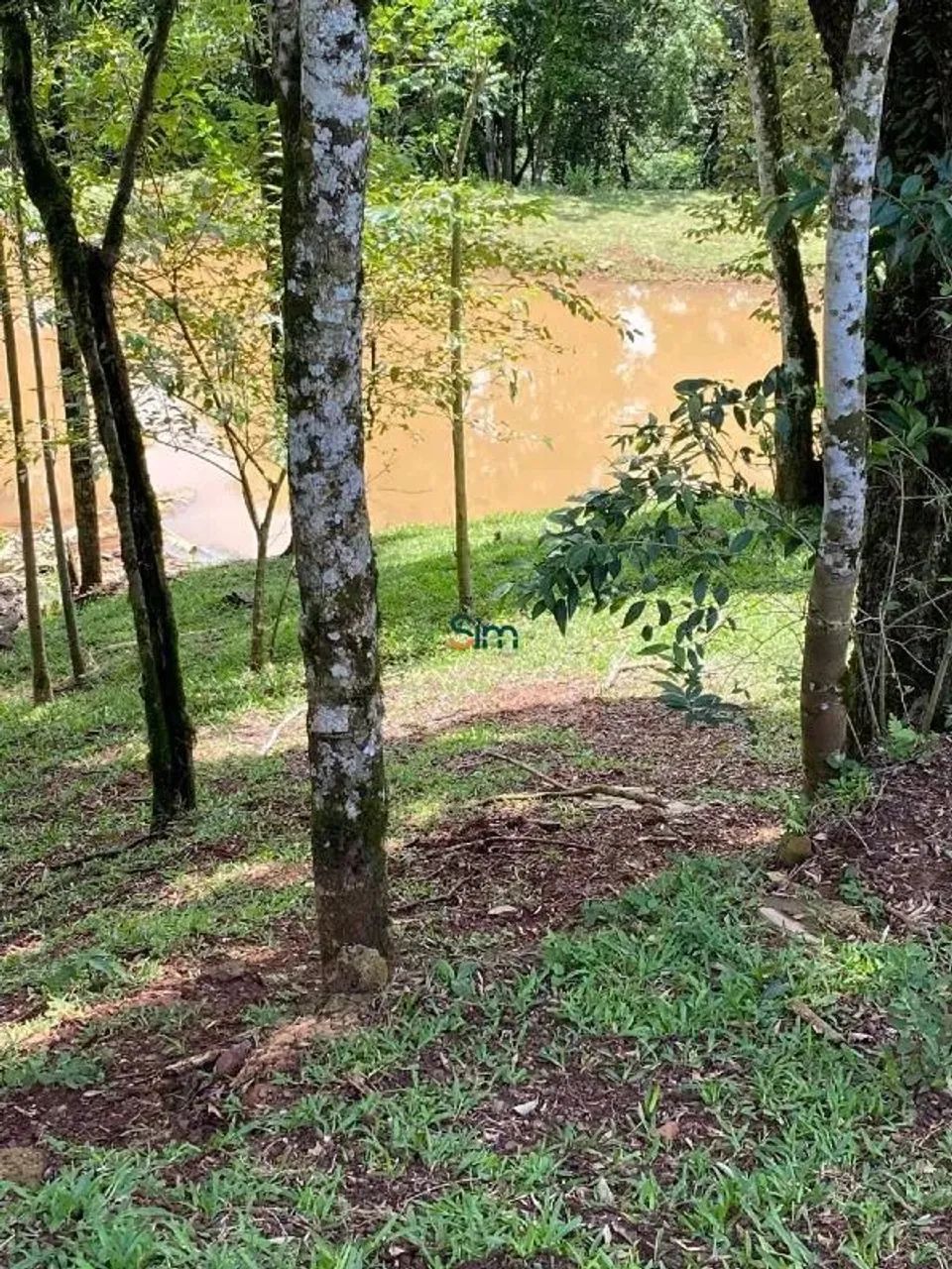 Chacarra para venda - AGUA AMARELA - Foto 4