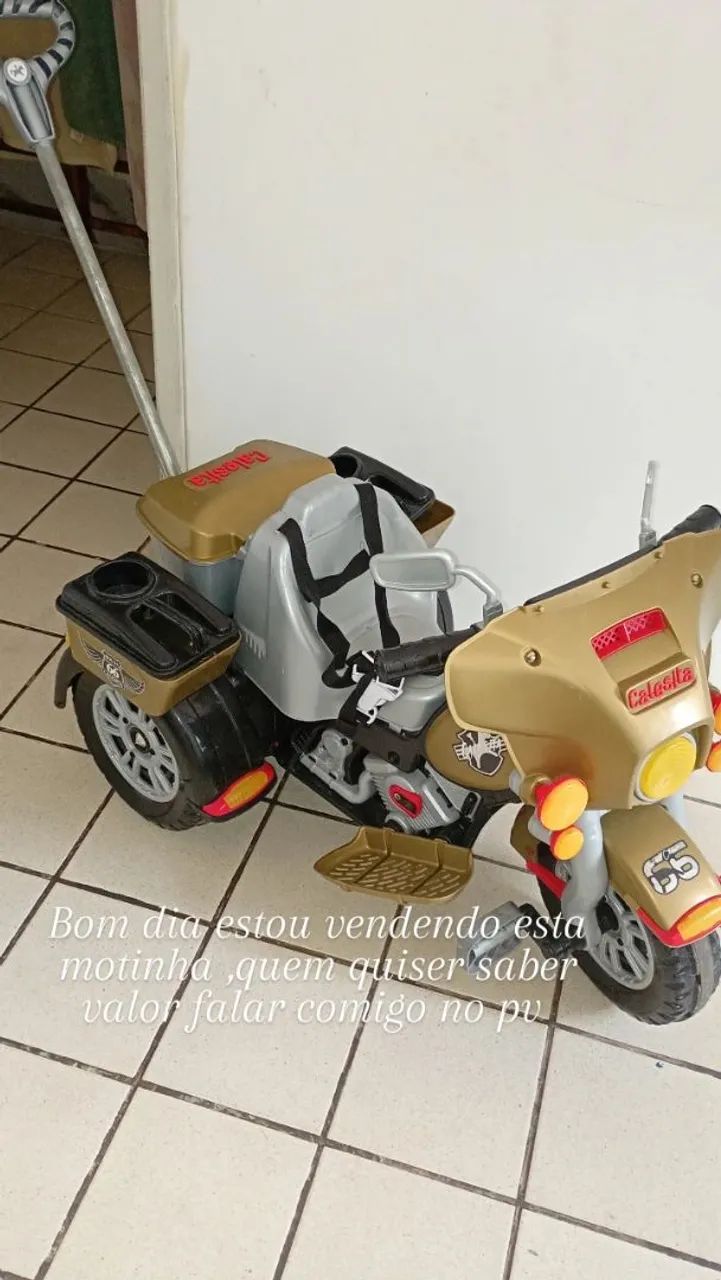 Moto calesita 