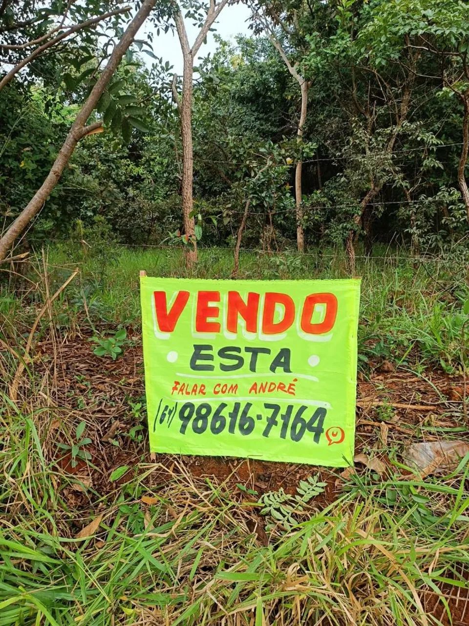 Foto - Valparaíso de Goiás - Parque Marajó
