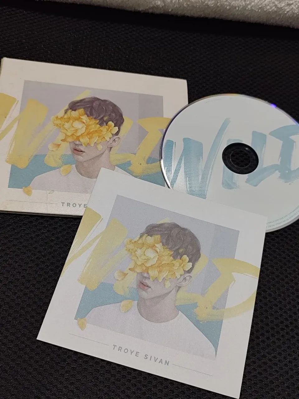 CD Troye Sivan - Wild EP // IMPORTADO