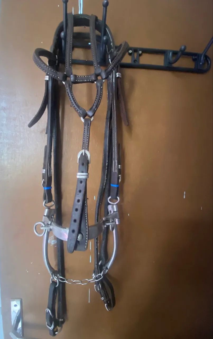 Cabeçada para vender  - Foto 2