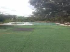 Vende chácara com 2 quartos na Fercal Sobradinho DF - Foto 4